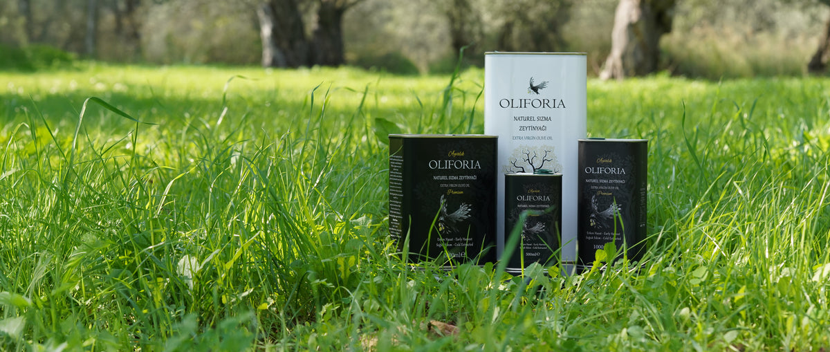 Oliforia fotoğraf 1